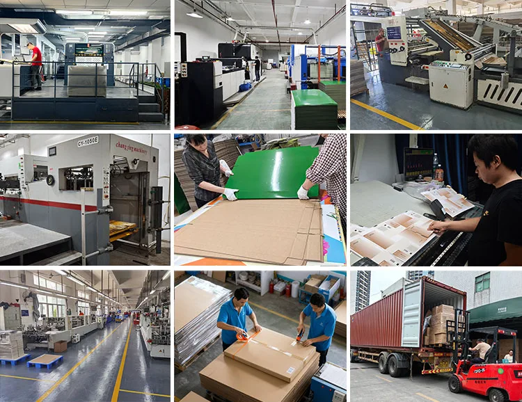 Kingwin factory production line