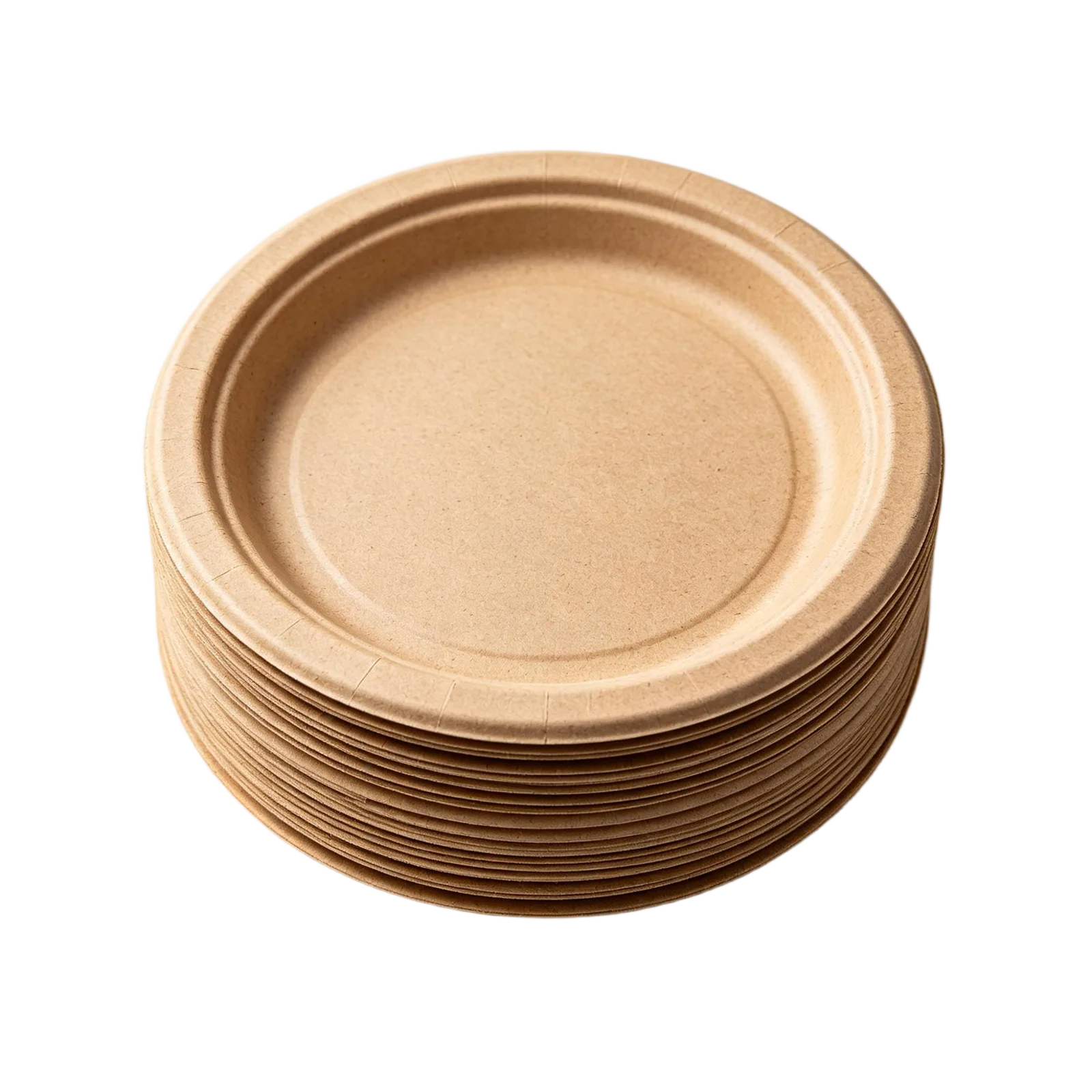 Biodegradable Bagasse Paper Plates Wholesale for Restaurants Catering and Takeaway