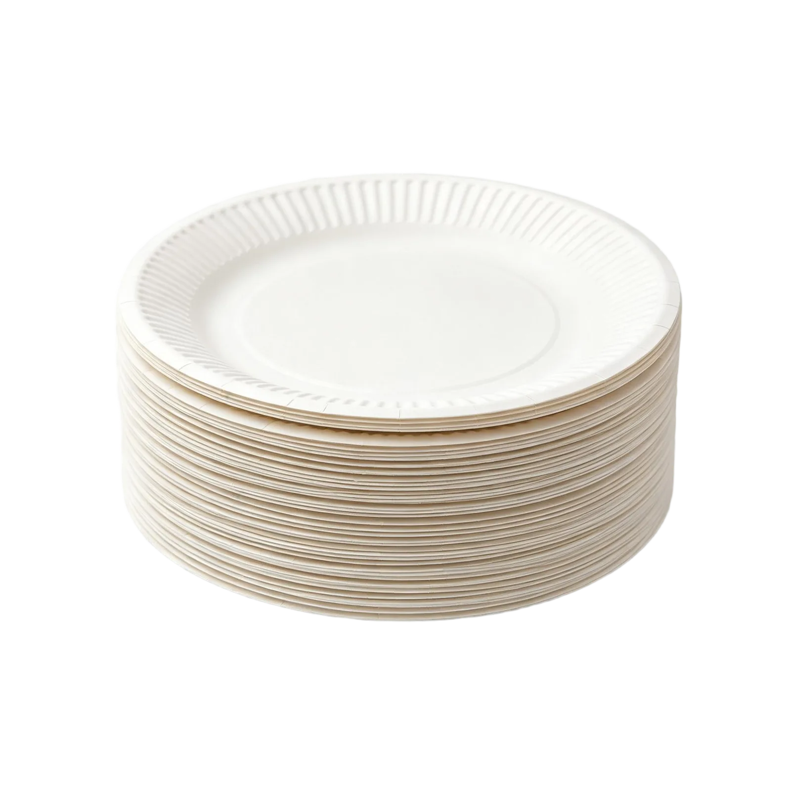 Recyclable Paper Plates Bulk Pack for Parties Offices Schools and Outdoor Events